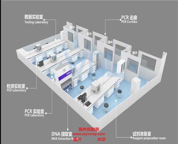 鄭州PCR實驗室的構成條件有哪些？